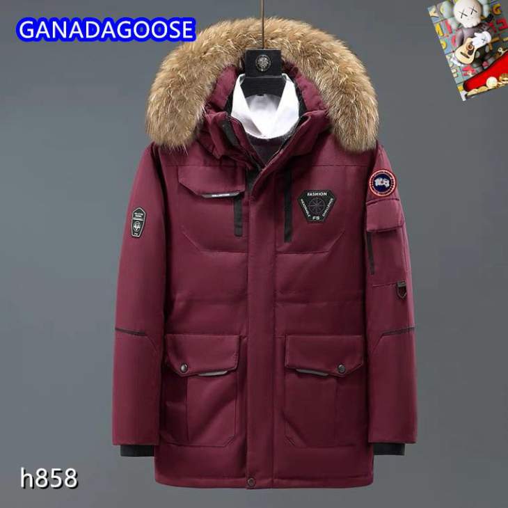 Picture of Canada Goose Down Jackets _SKUCanadaGooseM-3XL25tr18837933